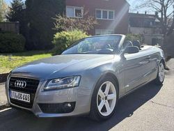 Grau Gebraucht 2010 Audi A5 Cabriolet Design Cabrio | 11.500 € (Etwas zu teuer)