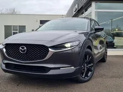 Grau Neu 2025 Mazda CX-3 Homura-Line SUV | 27.777 € (Etwas zu teuer)