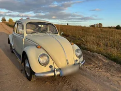 Beige Gebraucht 1965 VW Käfer Kleinwagen | 12.000 €
