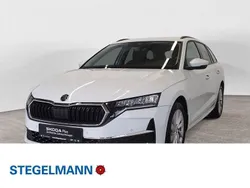 Moonweiss metallic Gebraucht 2024 Skoda Octavia Selection Kombi | 28.610 € (Guter Preis)