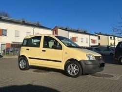 Gelb Gebraucht 2009 Fiat Panda Active Kleinwagen | 1.500 € (Guter Preis)