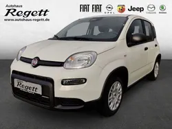 Weiss Neu 2024 Fiat Panda Kleinwagen | 15.990 €