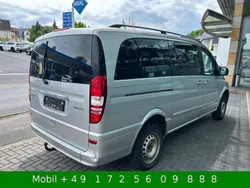 Mercedes Viano