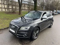 Grau Gebraucht 2015 Audi SQ5 Competition SUV | 18.900 € (Fairer Preis)