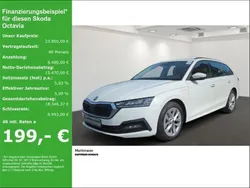 Weiß Gebraucht 2023 Skoda Octavia Ambition Kombi | 23.850 € (Guter Preis)