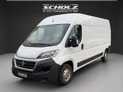 Weiss Gebraucht 2019 Fiat Ducato Van | 20.990 € (Teuer)