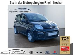 Rot Gebraucht 2024 Fiat Panda Cross Cross Kleinwagen | 15.989 €