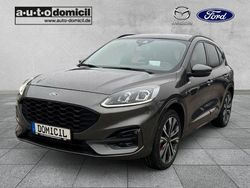 Grau Gebraucht 2021 Ford Kuga ST-Line X SUV | 24.990 € (Etwas zu teuer)