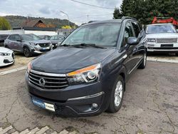 Grau Gebraucht 2018 Ssangyong (KGM) Rodius Sapphire Van / Kleinbus | 13.900 €
