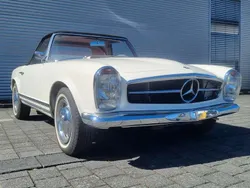 Weiß Gebraucht 1964 Mercedes 230 Cabrio | 114.500 €
