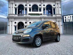 Grau Gebraucht 2017 Fiat Panda Easy Kleinwagen | 8.990 € (Fairer Preis)