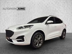 Weiß Gebraucht 2023 Ford Kuga ST-Line X SUV | 27.490 € (Fairer Preis)
