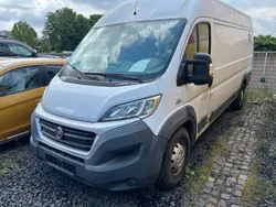 Weiß Gebraucht 2016 Fiat Ducato Van | 9.950 €