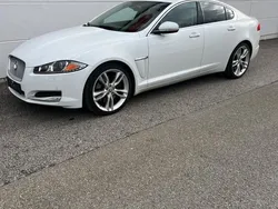Weiß Gebraucht 2013 Jaguar XF Limousine | 11.500 €