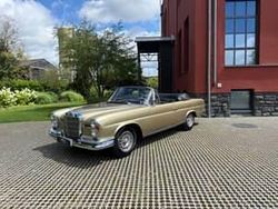 Gold Gebraucht 1968 Mercedes 280 SE Cabrio | 175.000 €