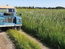 Blau Gebraucht 1969 Land Rover 88 SUV | 57.000 €