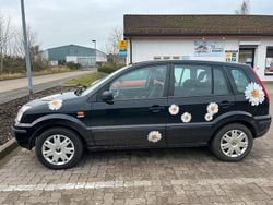 Schwarz Gebraucht 2005 Ford Fusion Trend Kleinwagen | 2.500 € (Guter Preis)