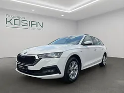 Weiß Gebraucht 2022 Skoda Octavia Clever Kombi | 20.740 € (Guter Preis)
