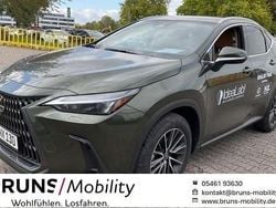 Grün Gebraucht 2025 Lexus NX350h Executive Line SUV | 47.890 € (Superpreis)