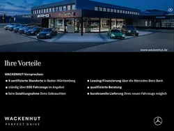 Violettblau Gebraucht 2024 Mercedes Sprinter Van | 69.615 €