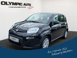 601 / schwarz Gebraucht 2024 Fiat Panda Kleinwagen | 12.990 € (Fairer Preis)
