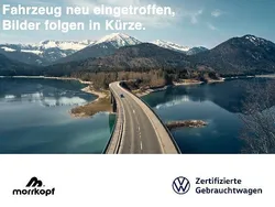 Pyritsilber, metallic Gebraucht 2023 VW T-Roc Life SUV | 21.340 € (Fairer Preis)