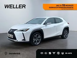 Weiss Gebraucht 2021 Lexus UX 300e Executive Line SUV | 27.555 € (Fairer Preis)