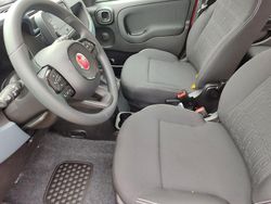 Blau Neu 2025 Fiat Panda Kleinwagen | 13.790 € (Guter Preis)