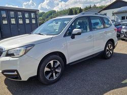 Weiß Gebraucht 2017 Subaru Forester Exclusive+ SUV | 13.100 € (Guter Preis)