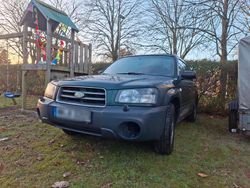 Grün Gebraucht 2003 Subaru Forester SUV | 2.600 €