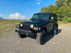 Schwarz Gebraucht 2005 Jeep Wrangler SUV | 35.000 €