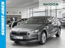 Graphite grau Gebraucht 2024 Skoda Octavia Selection Kombi | 32.680 € (Guter Preis)