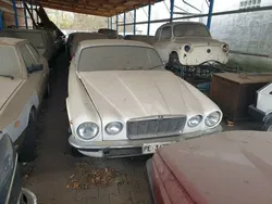 Weiß Gebraucht 1981 Jaguar XJ6 Limousine | 7.499 €