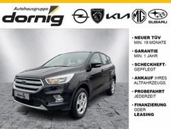 Schwarz Gebraucht 2019 Ford Kuga Trend SUV | 14.880 € (Guter Preis)