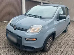 Grau Gebraucht 2023 Fiat Panda Kleinwagen | 6.799 €