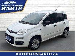 Colore esterno (weiss) Gebraucht 2020 Fiat Panda Easy Kleinwagen | 8.490 € (Fairer Preis)