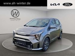 Grau Gebraucht 2024 Kia Picanto Vision Kleinwagen | 15.897 € (Fairer Preis)