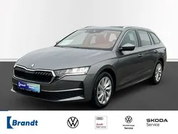 Grau Gebraucht 2024 Skoda Octavia Selection Kombi | 31.490 € (Fairer Preis)