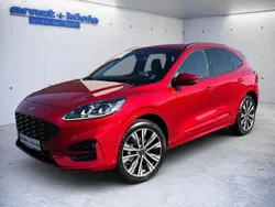 Rot Gebraucht 2024 Ford Kuga ST-Line X SUV | 34.770 € (Guter Preis)