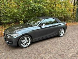 Grau Gebraucht 2015 BMW 228 Sport Line Cabrio | 16.800 € (Fairer Preis)