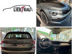 Grau Gebraucht 2025 Skoda Kamiq Selection SUV | 26.950 €