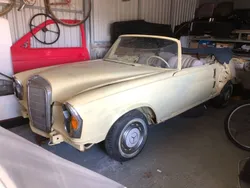Grün Gebraucht 1962 Mercedes 220 SE Cabrio | 49.999 €