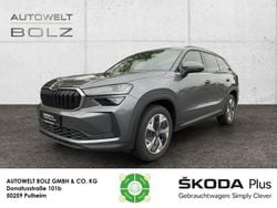 Grau Gebraucht 2024 Skoda Kodiaq Selection SUV | 42.690 € (Superpreis)