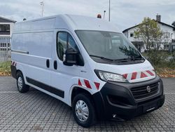 Weiß Gebraucht 2021 Fiat Ducato Van | 19.980 € (Fairer Preis)