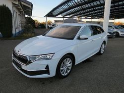 Weiß Gebraucht 2024 Skoda Octavia Kombi | 31.900 € (Fairer Preis)