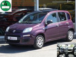 Violett Gebraucht 2013 Fiat Panda Kleinwagen | 5.950 €