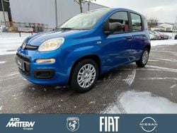 Blau Neu 2026 Fiat Panda Icon Kleinwagen | 15.490 € (Fairer Preis)