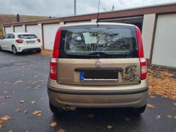 Gold Gebraucht 2009 Fiat Panda Active Kombi | 2.500 €