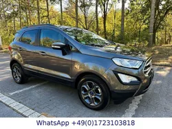Grau Gebraucht 2020 Ford Ecosport Titanium SUV | 13.900 € (Fairer Preis)