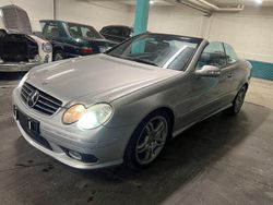 Silber Gebraucht 2003 Mercedes CLK55 AMG AMG Cabrio | 14.999 € (Teuer)